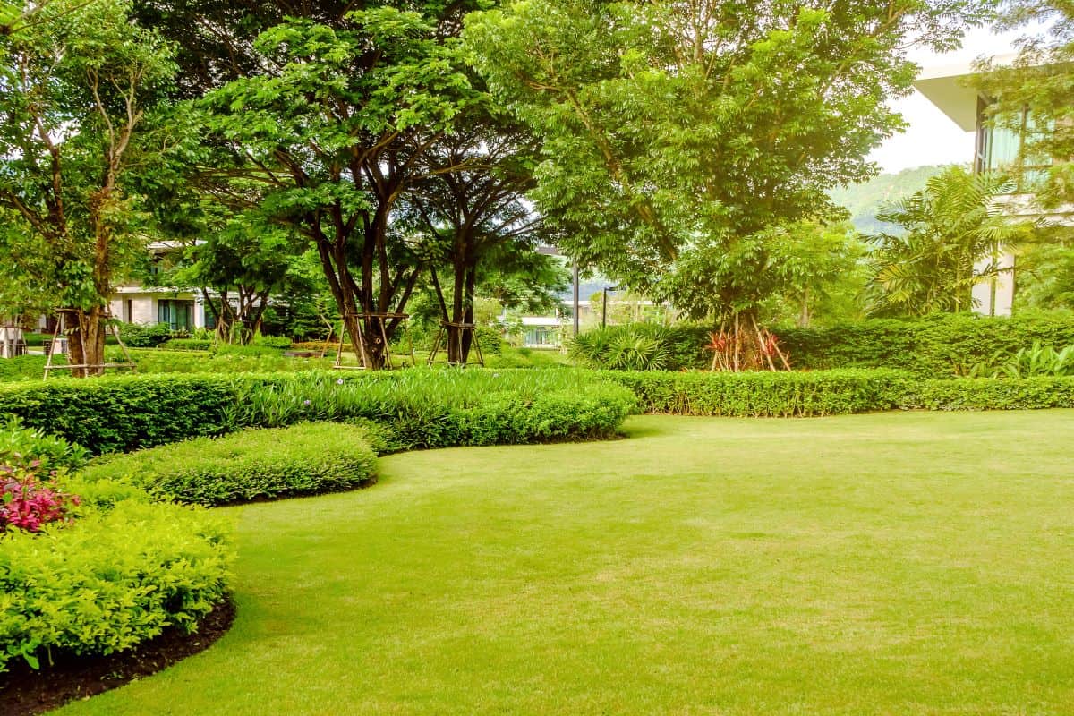 Beautifully maintained lawn and shrubs