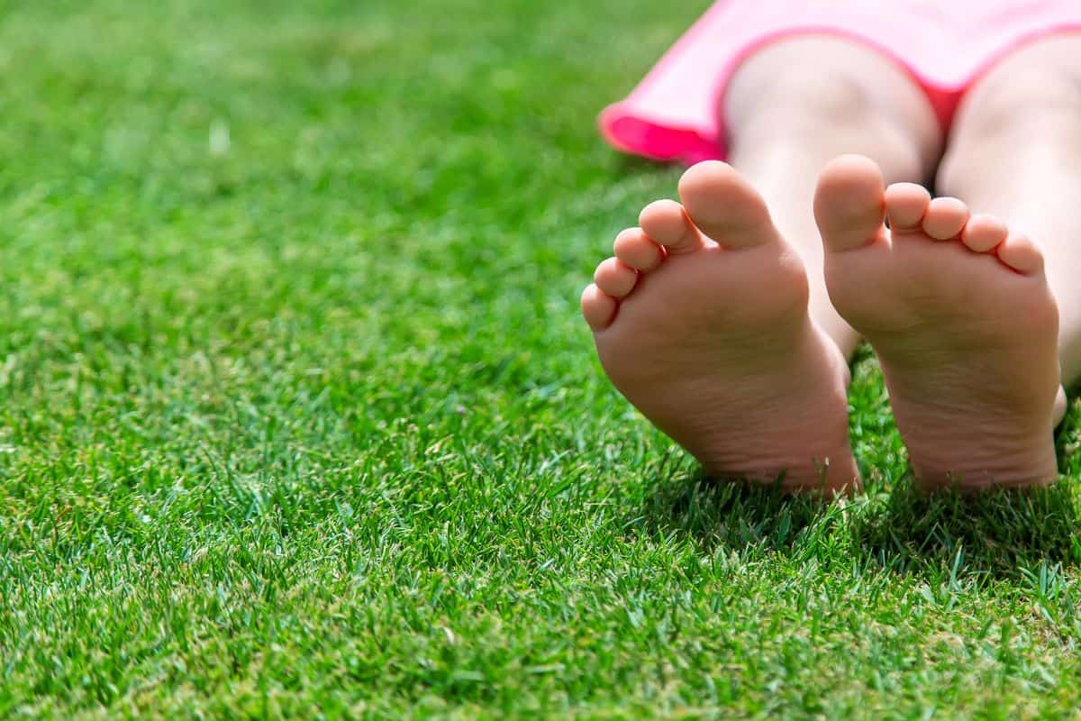Relaxing on fresh lawn