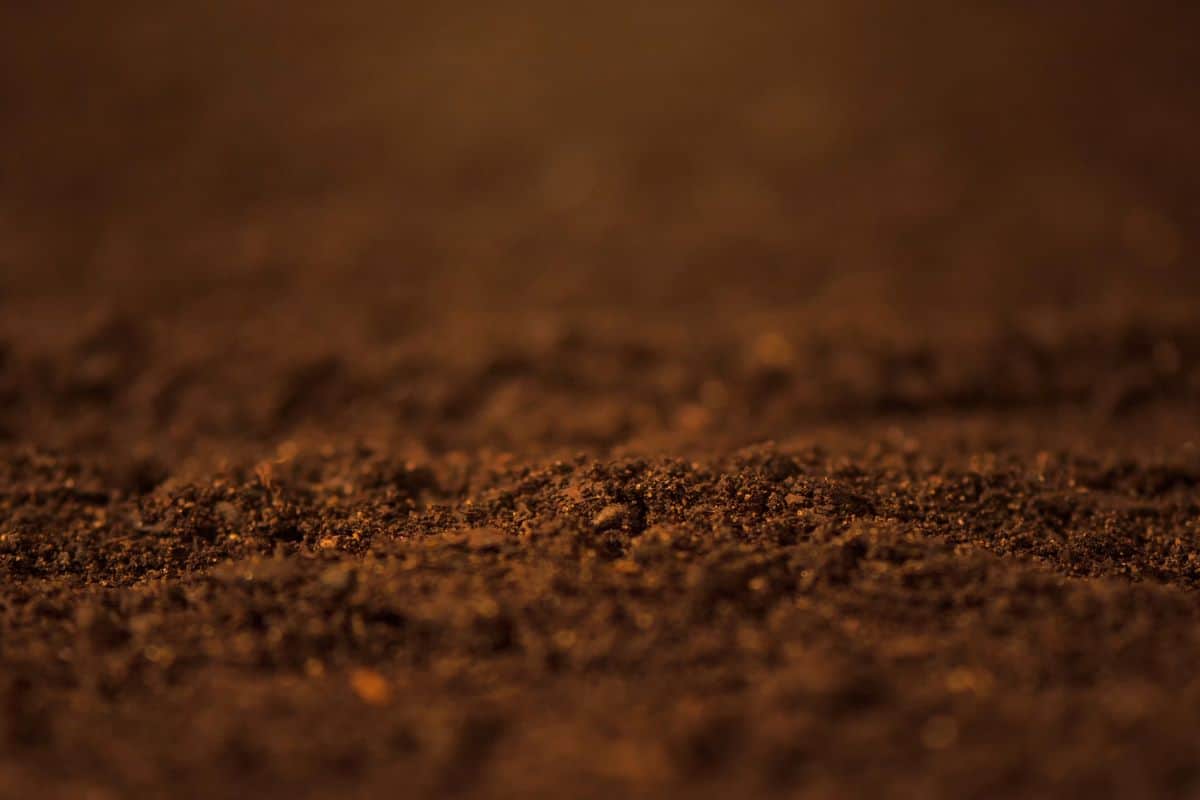 soil-close-up-billings-mt-cropped-4-3-1200