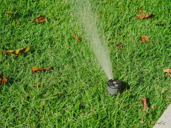 sprinkler-on-grass-with-leaves-billings-mt-cropped-resized