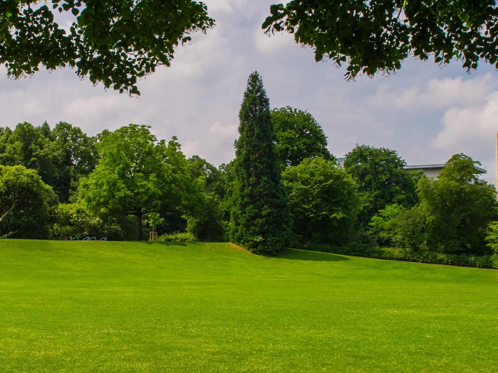 maintained-business-courtyard-billings-mt-cropped-resized